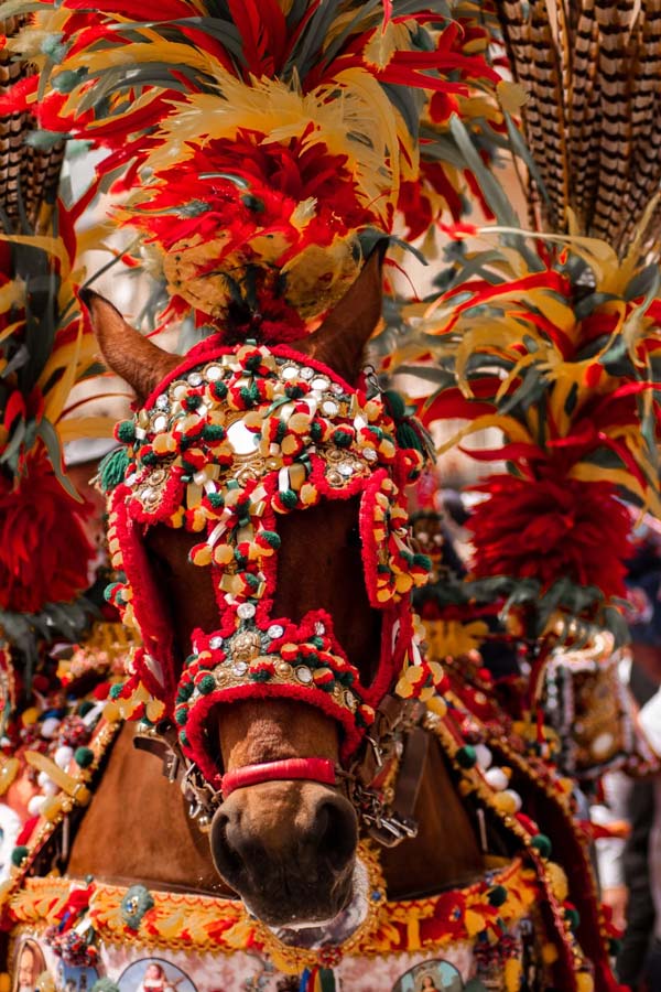 Detail of the harness of a horse of a sicilian cart