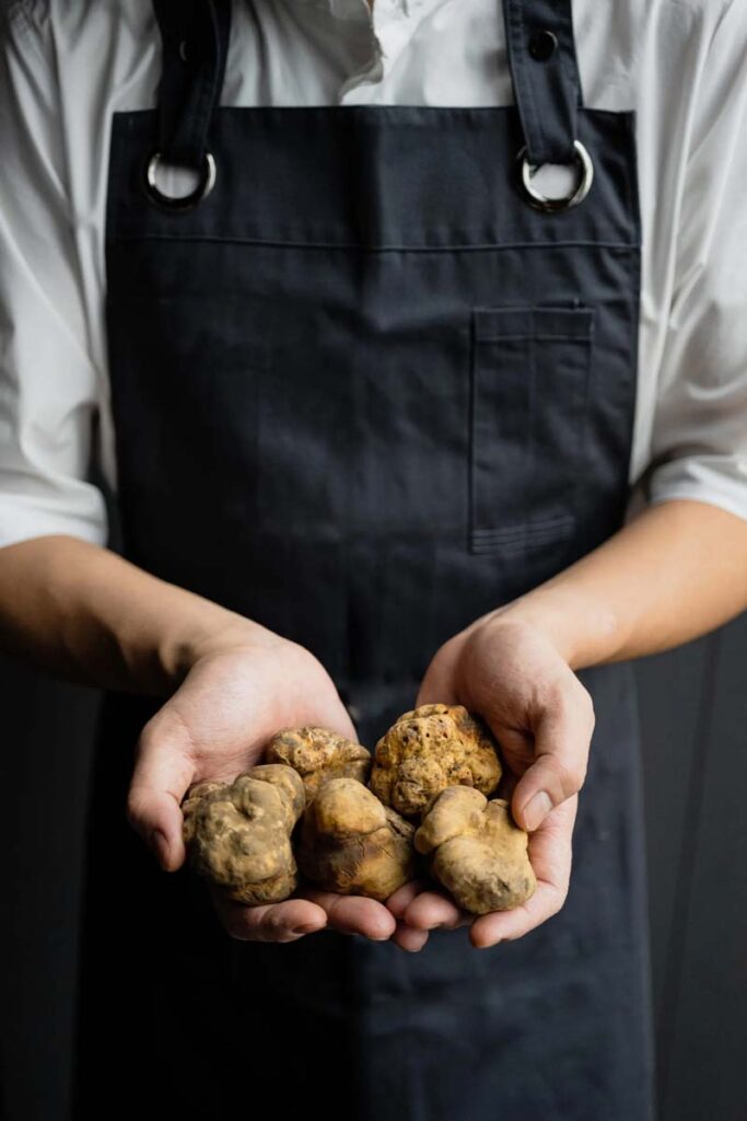Chef holding italian white truffle